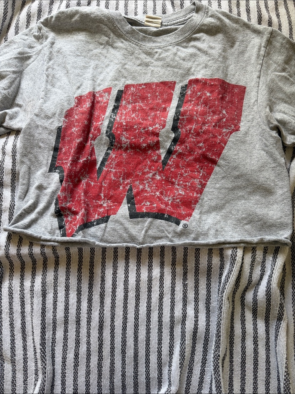 Gray Tee with Distressed Wisconsin logo
